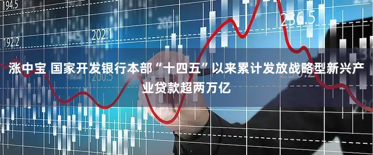 涨中宝 国家开发银行本部“十四五”以来累计发放战略型新兴产业贷款超两万亿