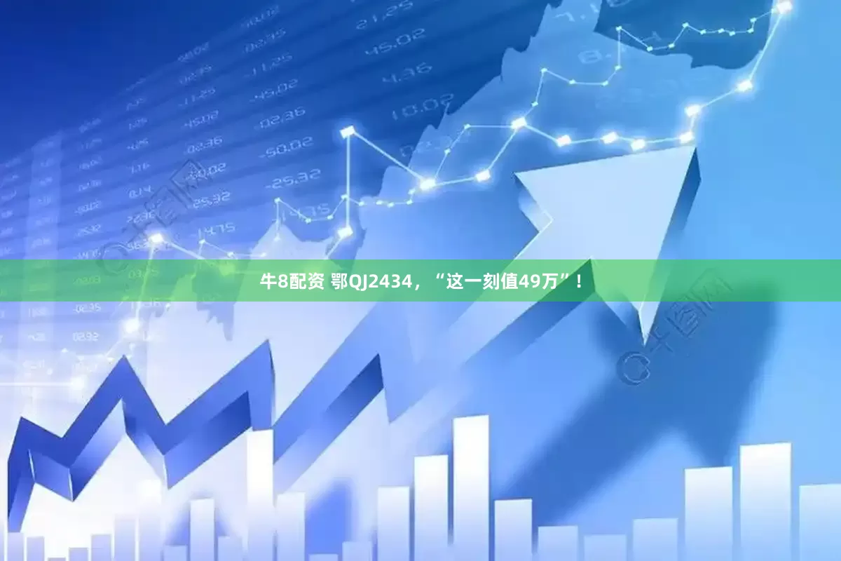 牛8配资 鄂QJ2434，“这一刻值49万”！