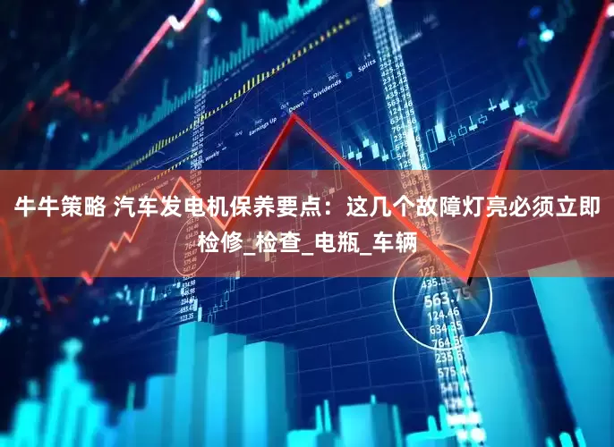 牛牛策略 汽车发电机保养要点：这几个故障灯亮必须立即检修_检查_电瓶_车辆