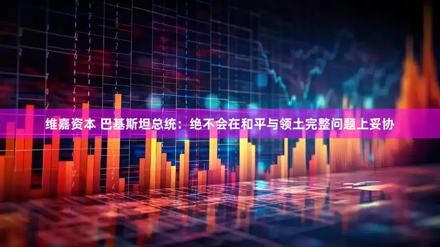 维嘉资本 巴基斯坦总统：绝不会在和平与领土完整问题上妥协